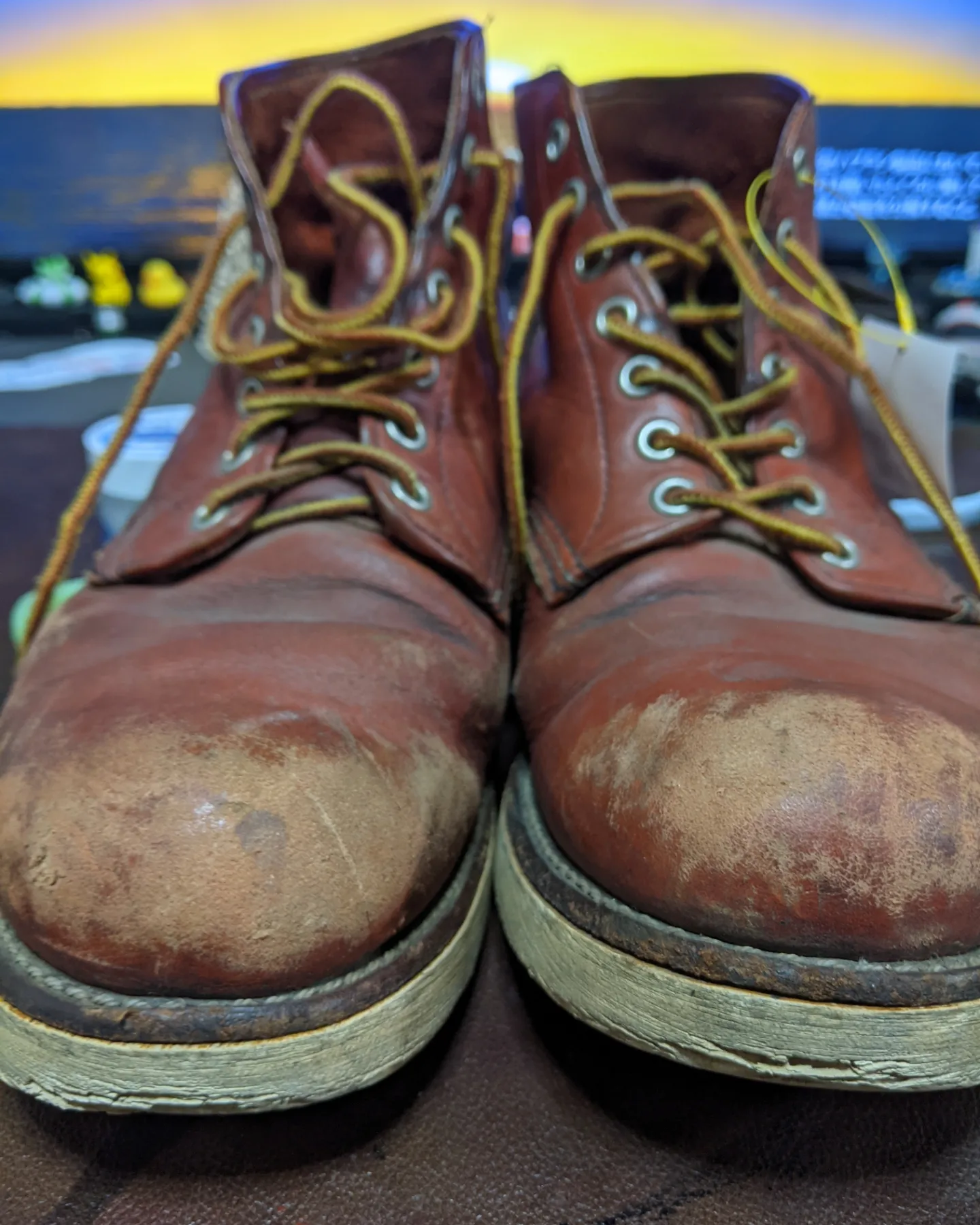 RED WING　8166